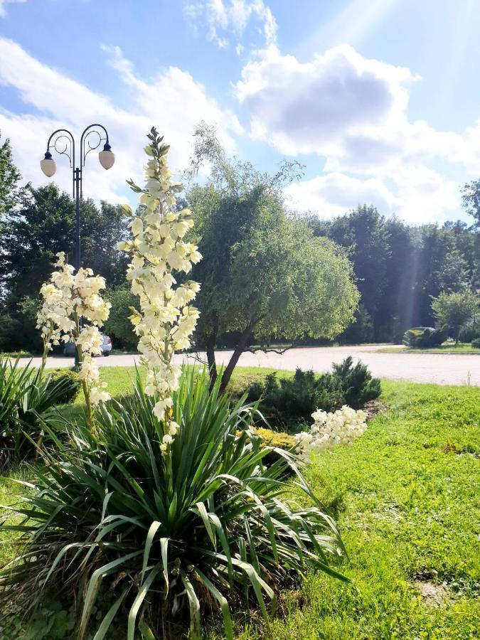 Hotel Park